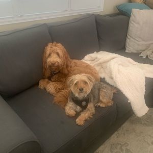 Meet your Posher, Joanne